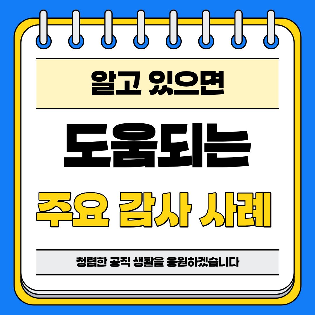 주요 지적사례
